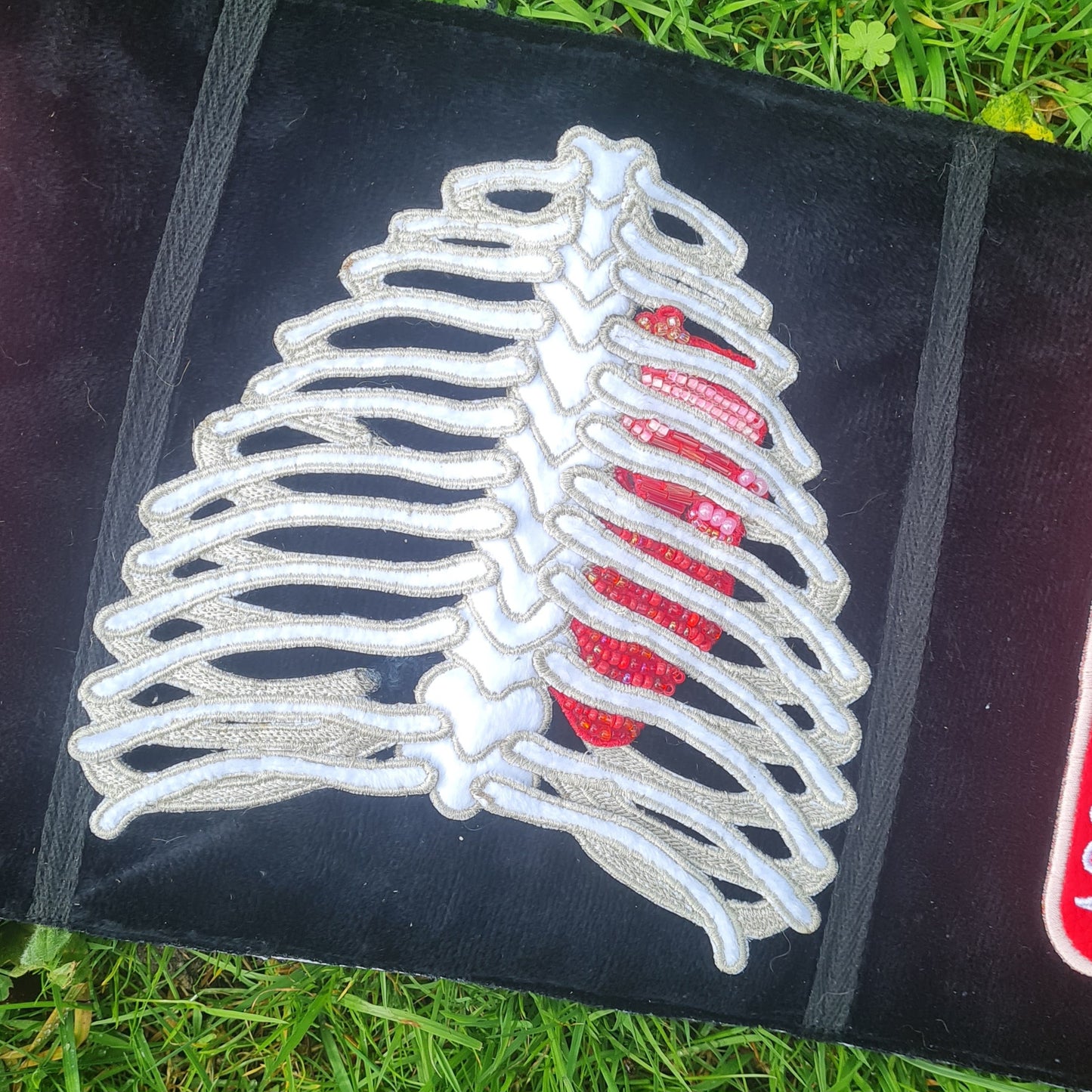 PREMADE: Ribcage