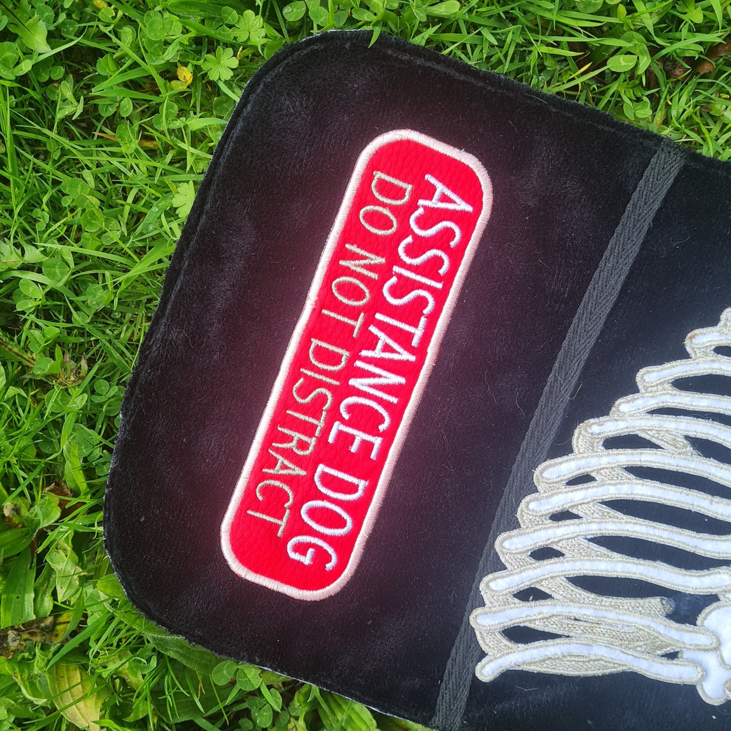 PREMADE: Ribcage
