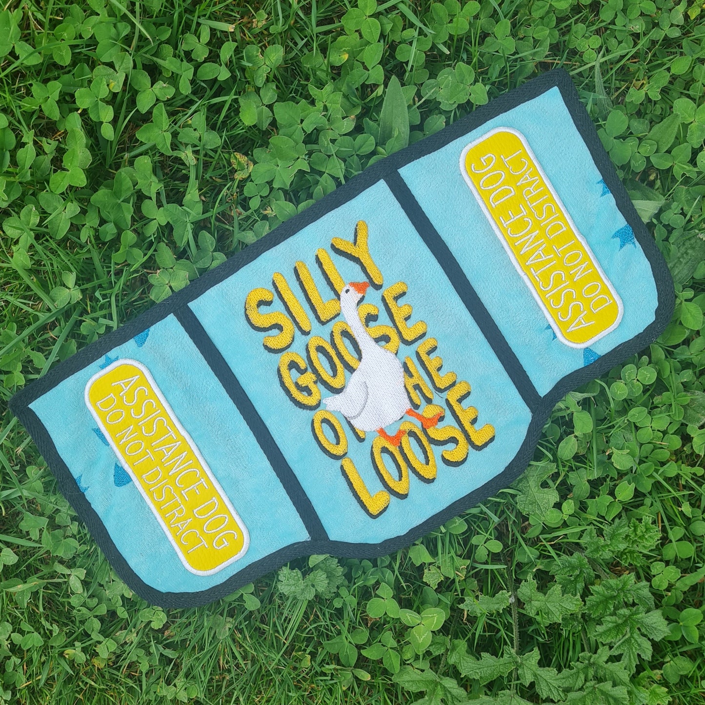 PREMADE: Silly Goose