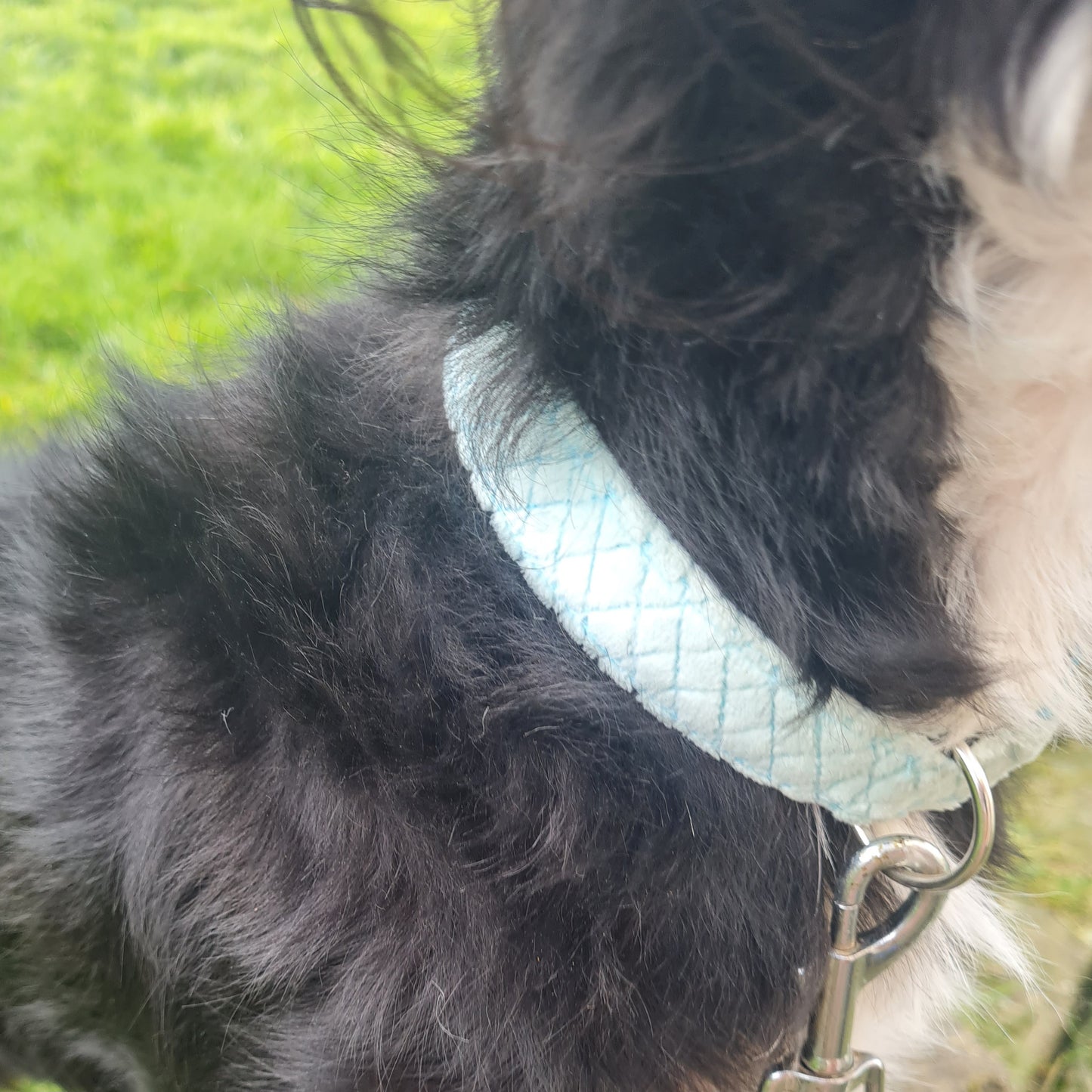 Quilt-Style Minky Collar