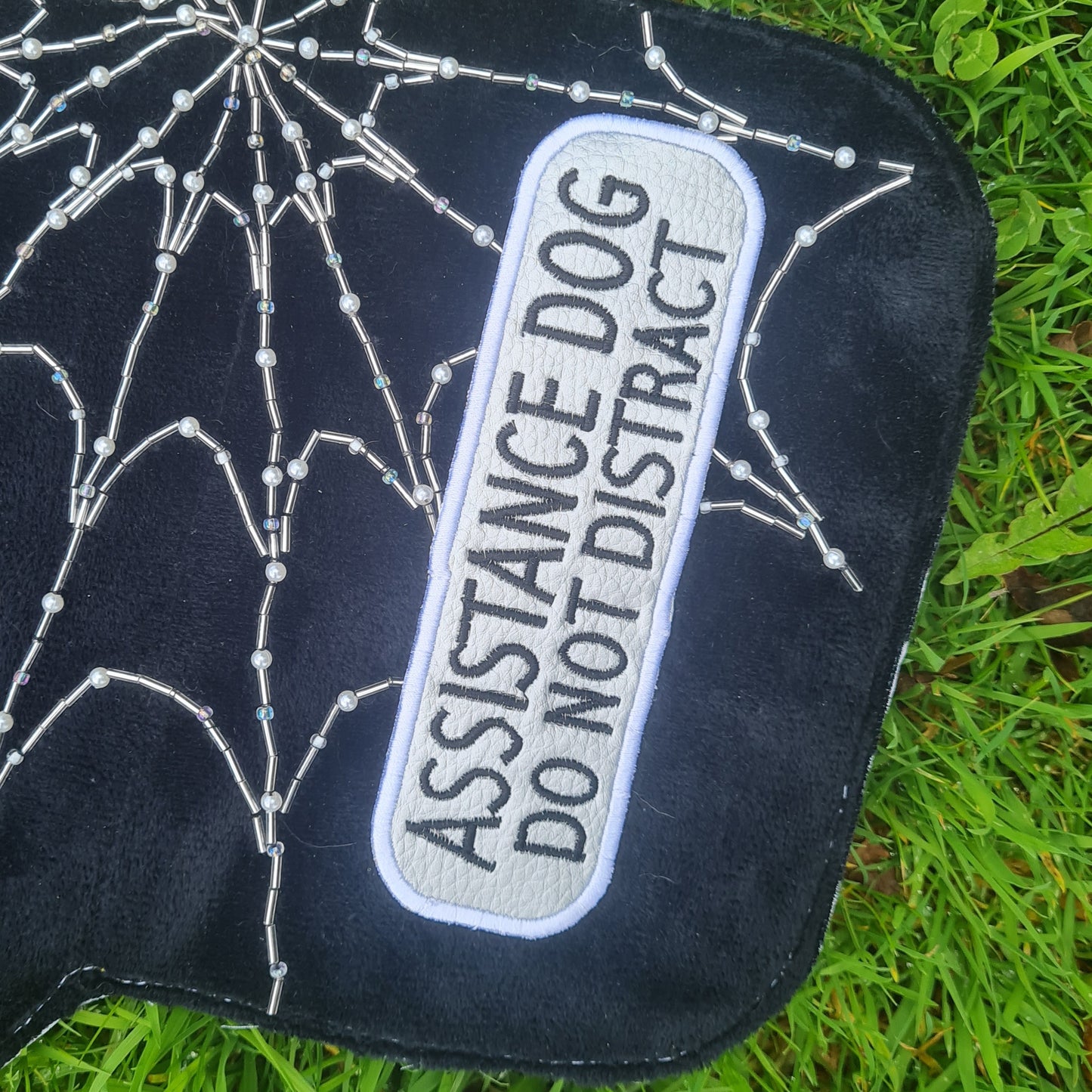 PREMADE: Cobweb