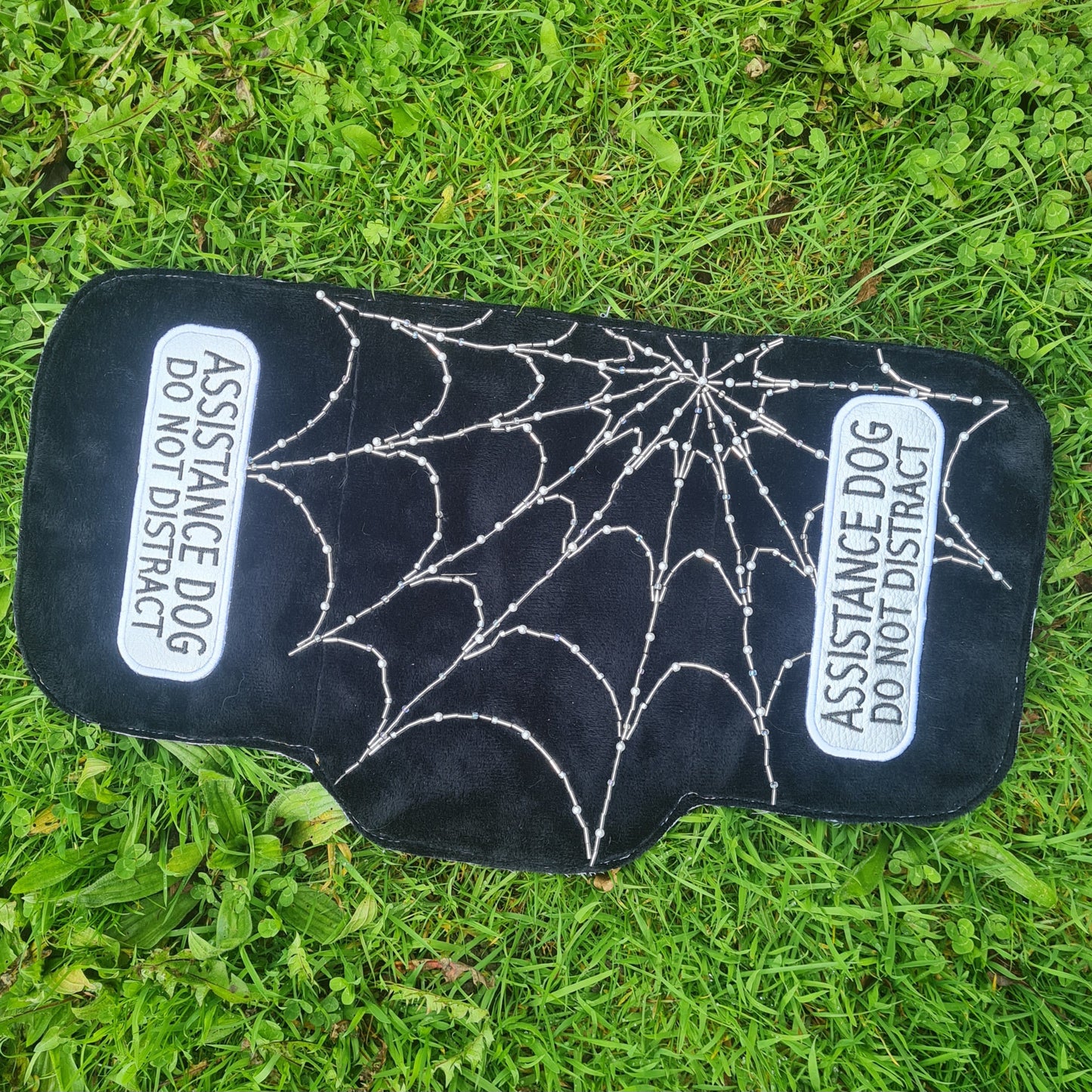 PREMADE: Cobweb