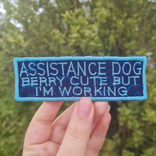 Blueberry Themed Assistance Dog Patch Set
