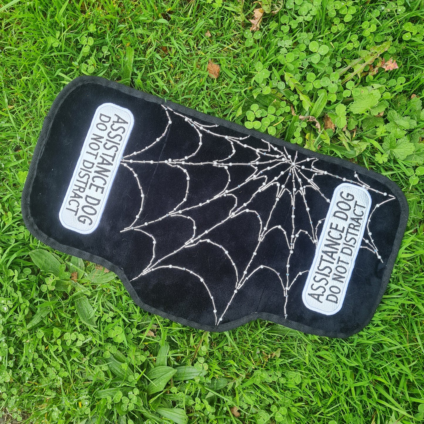 PREMADE: Cobweb