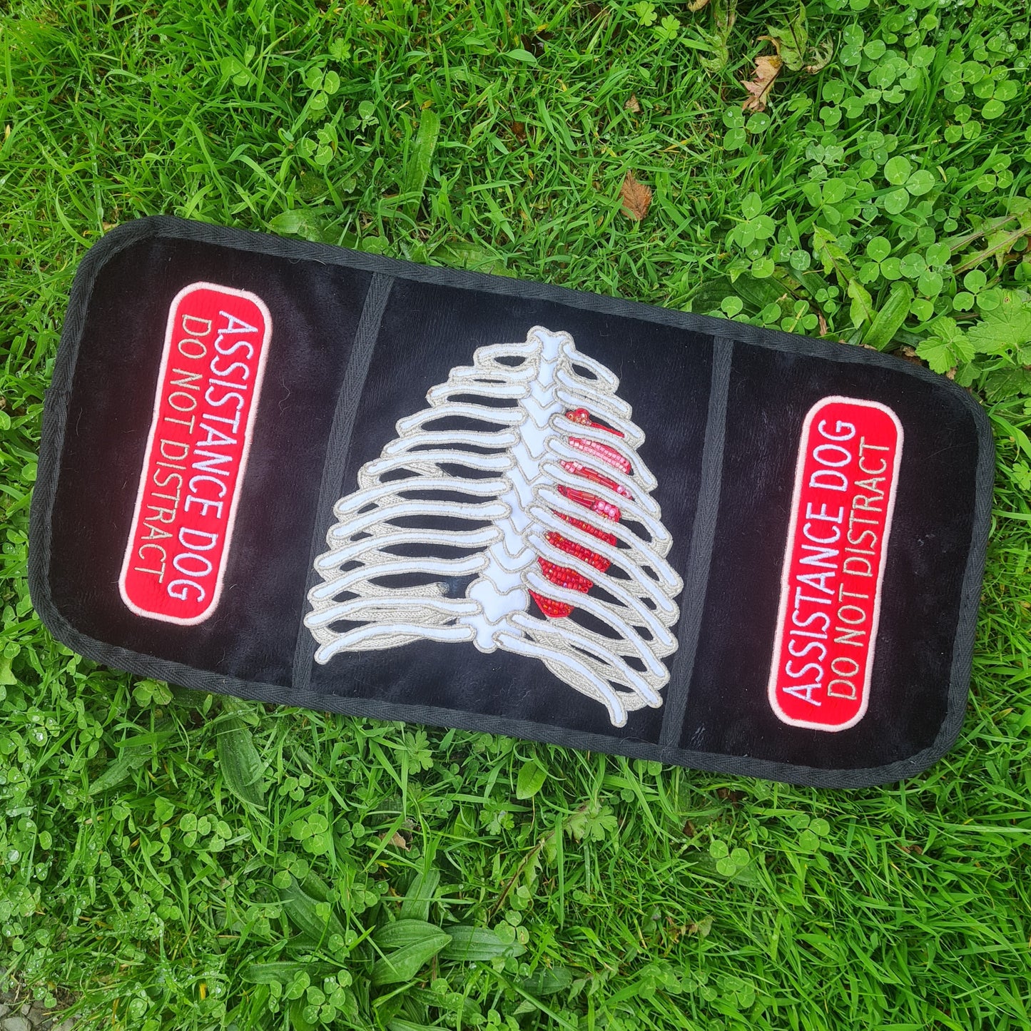PREMADE: Ribcage