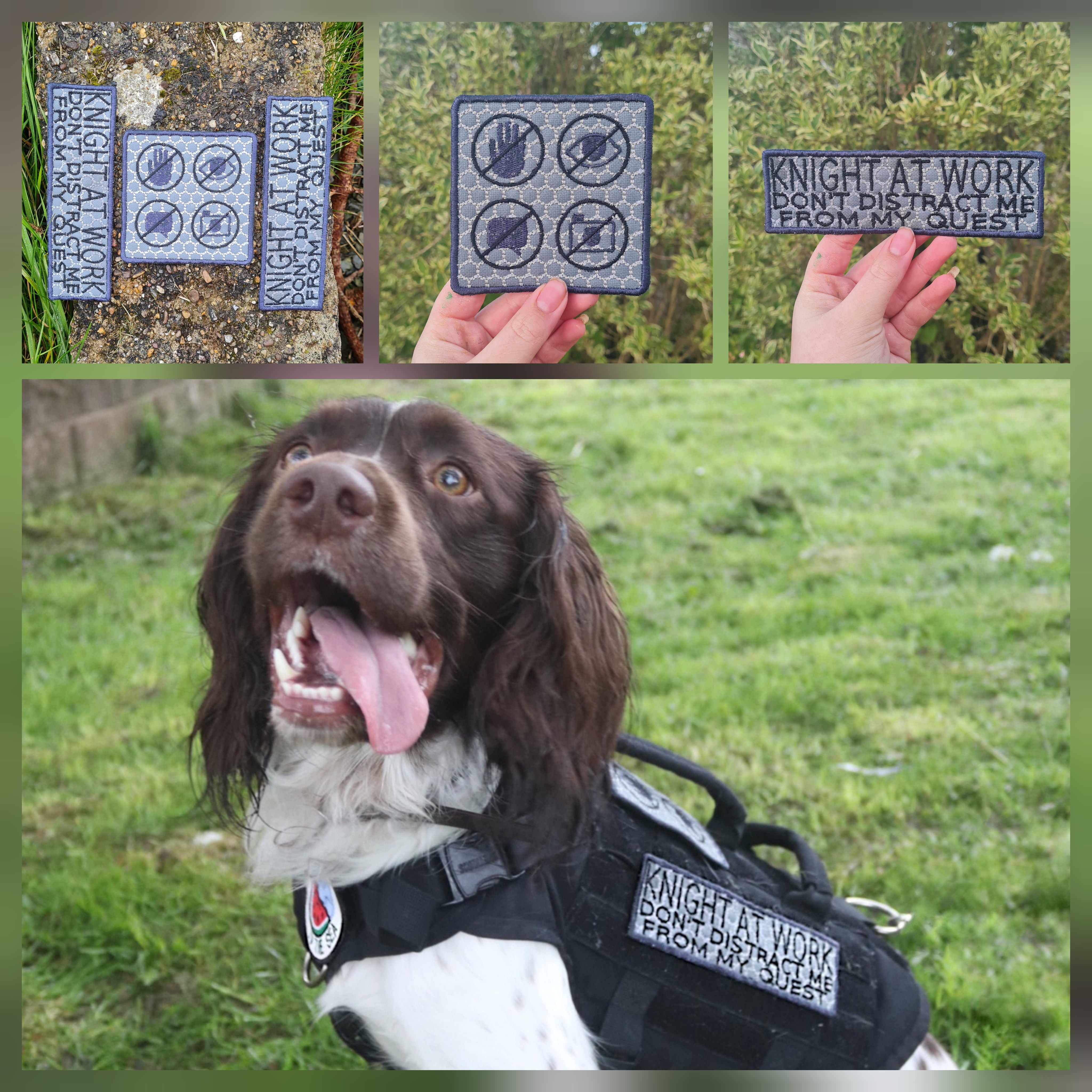 Assistance dog patches best sale