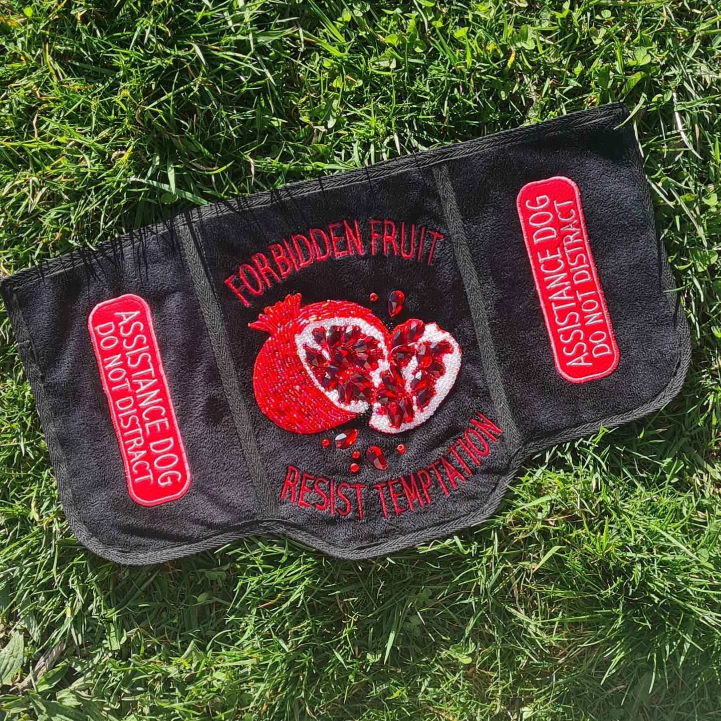 PREMADE: Forbidden Pomegranate