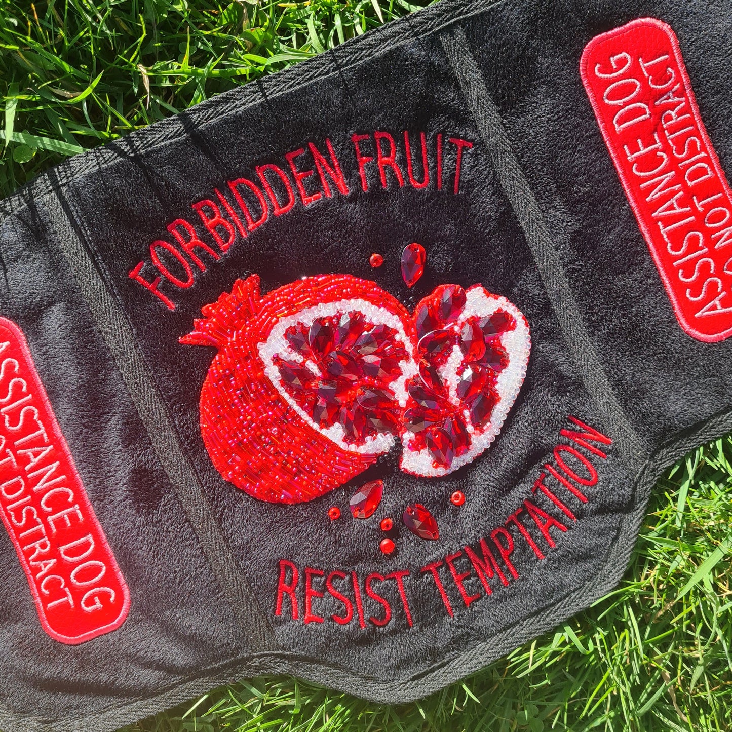 PREMADE: Forbidden Pomegranate