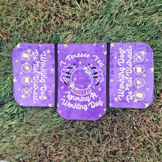 PREMADE: Fortune Teller