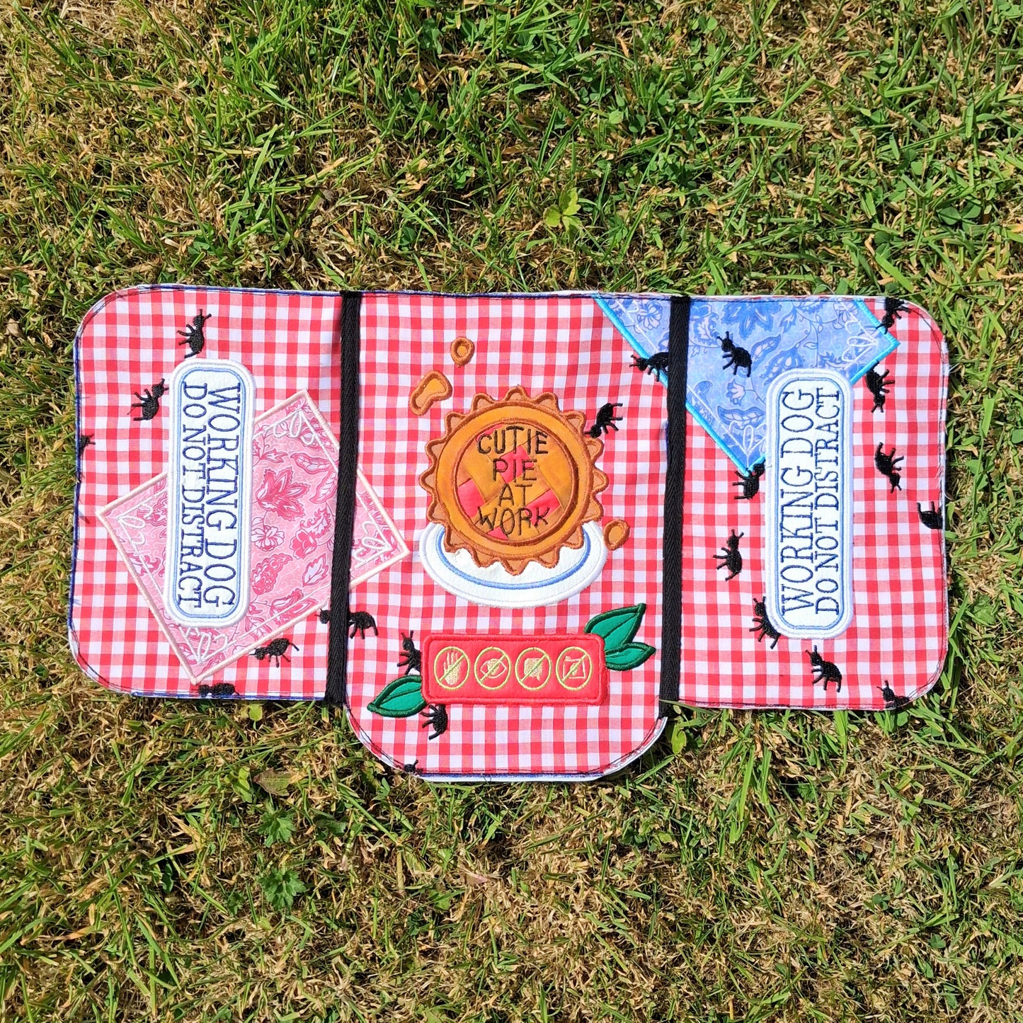 PREMADE: Picnic